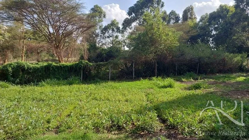 Land For Sale In Riruta, Kabiria Road – photo 3