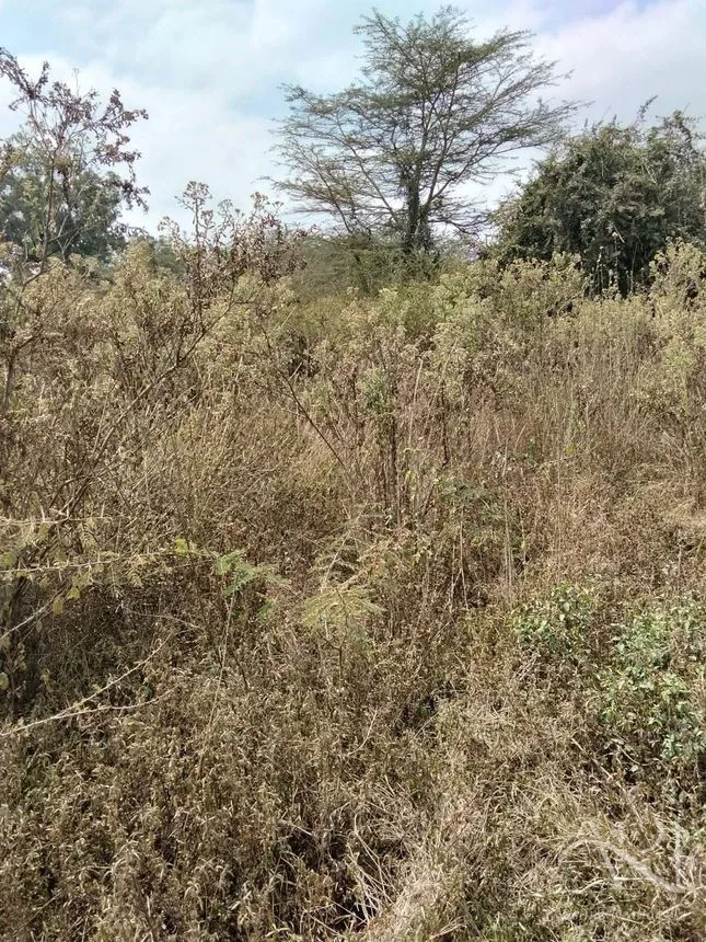 2.5 Acres Land For Sale In Mlolongo, Mombasa Road – photo 3