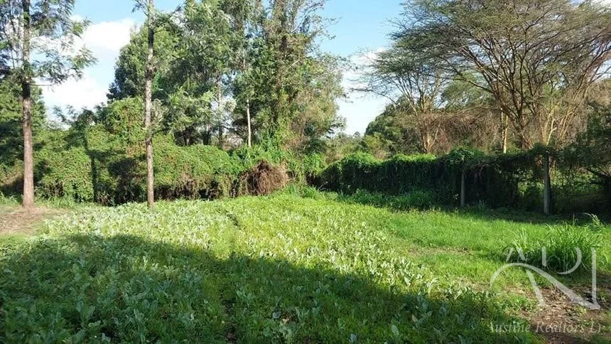 Land For Sale In Riruta, Kabiria Road – photo 16
