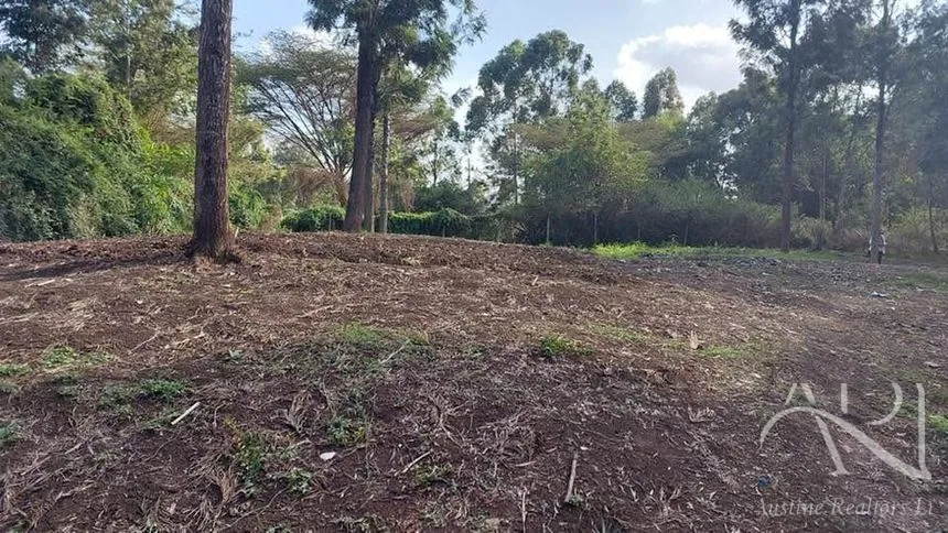 Land For Sale In Riruta, Kabiria Road – photo 5