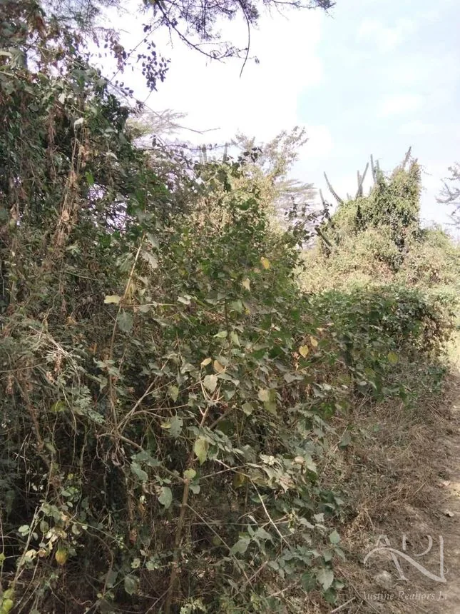 2.5 Acres Land For Sale In Mlolongo, Mombasa Road – photo 4