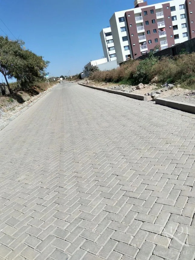 Mlolongo