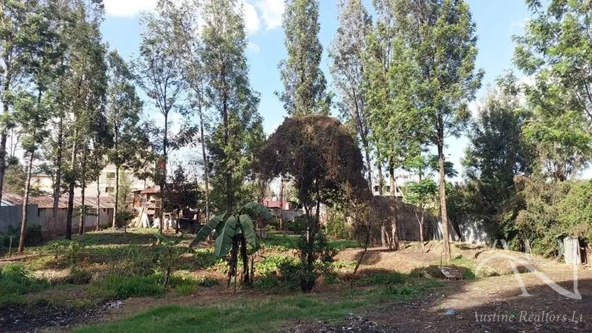 Land For Sale In Riruta, Kabiria Road – photo 4