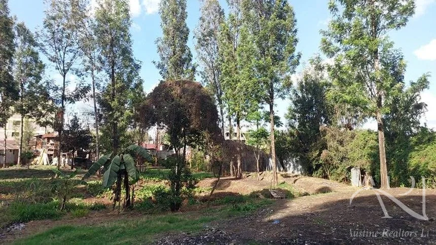 Land For Sale In Riruta, Kabiria Road – photo 15
