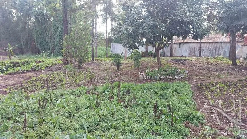 Land For Sale In Riruta, Kabiria Road – photo 12