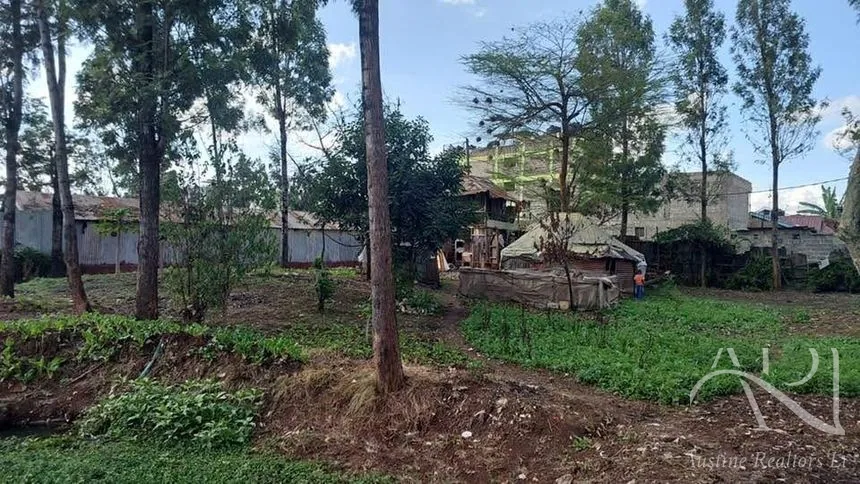Land For Sale In Riruta, Kabiria Road – photo 13