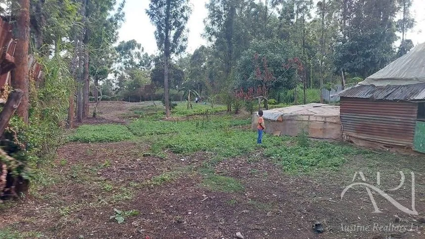 Land For Sale In Riruta, Kabiria Road – photo 17