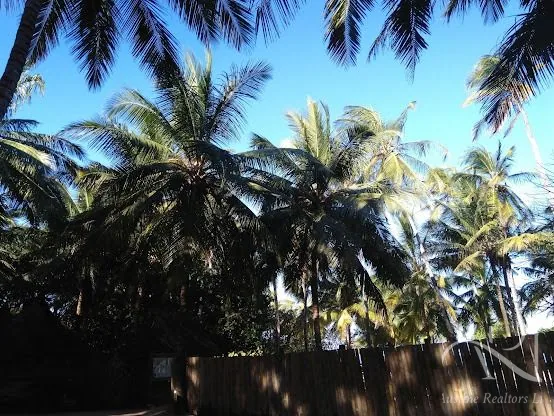 KINGSWOOD – Land For Sale In Kilifi, Vipingo Ridge – photo 10