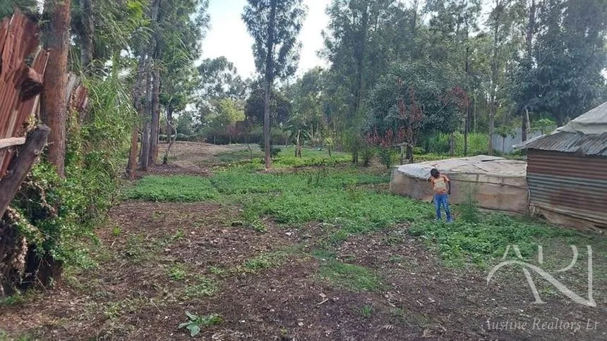 Land For Sale In Riruta, Kabiria Road – photo 6