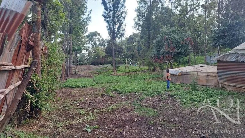 Land For Sale In Riruta, Kabiria Road – photo 8