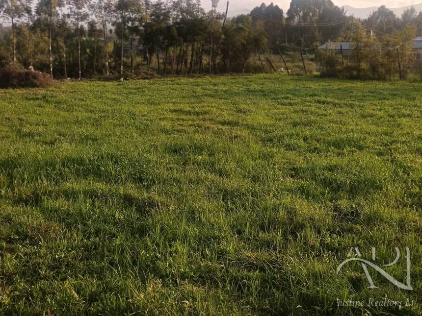 Ngong