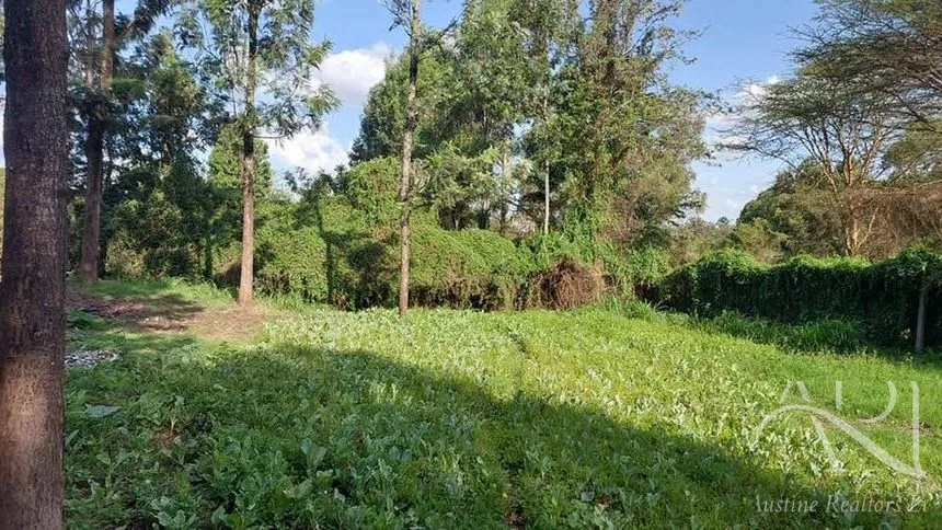 Land For Sale In Riruta, Kabiria Road – photo 11
