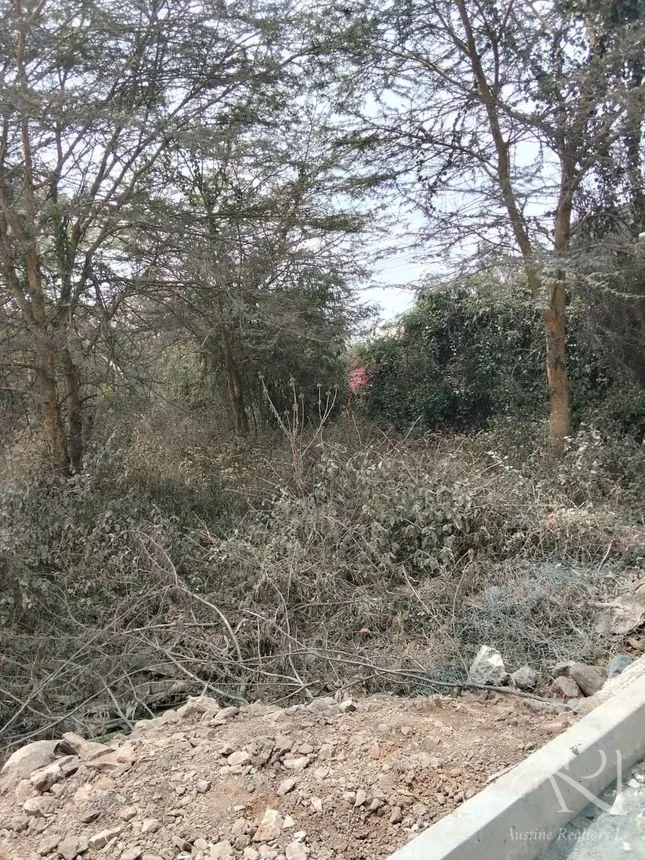 2.5 Acres Land For Sale In Mlolongo, Mombasa Road – photo 2
