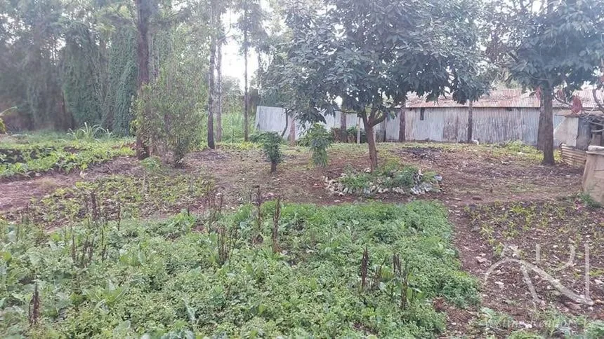 Land For Sale In Riruta, Kabiria Road – photo 10