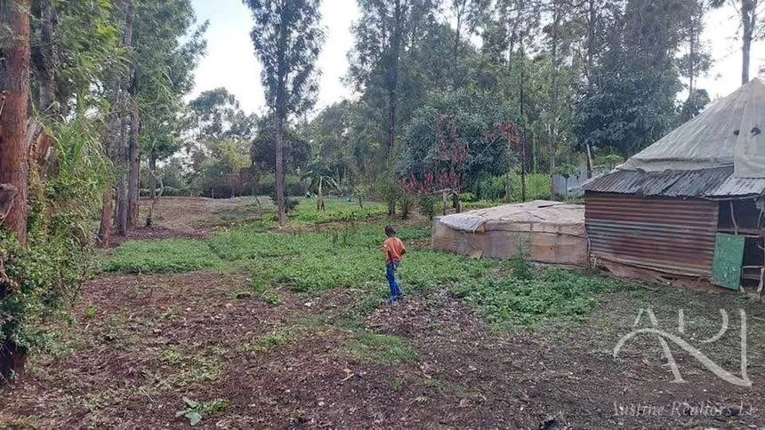 Land For Sale In Riruta, Kabiria Road – photo 19