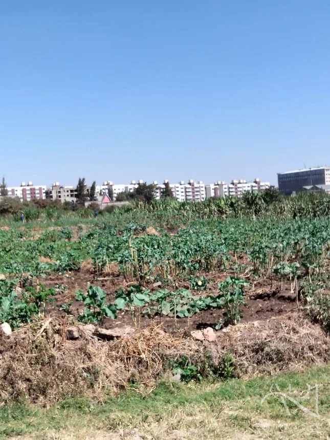 5 Acre For Sale In Mlolongo, Mombasa Road – photo 9